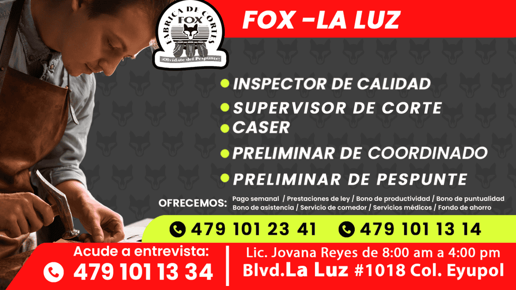 FOX 01