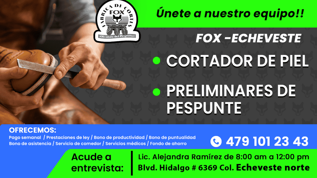 FOX 02