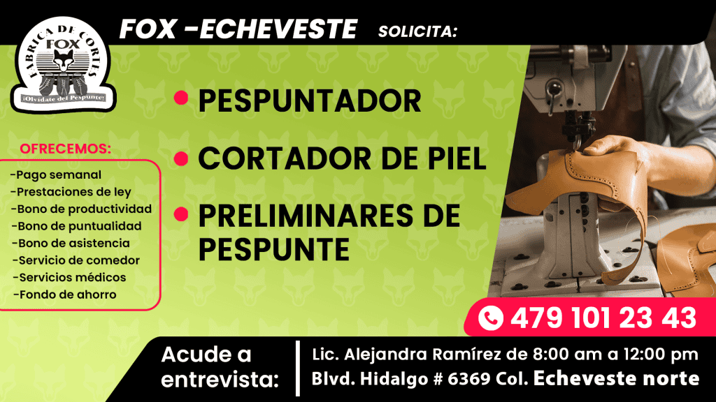 fox 01