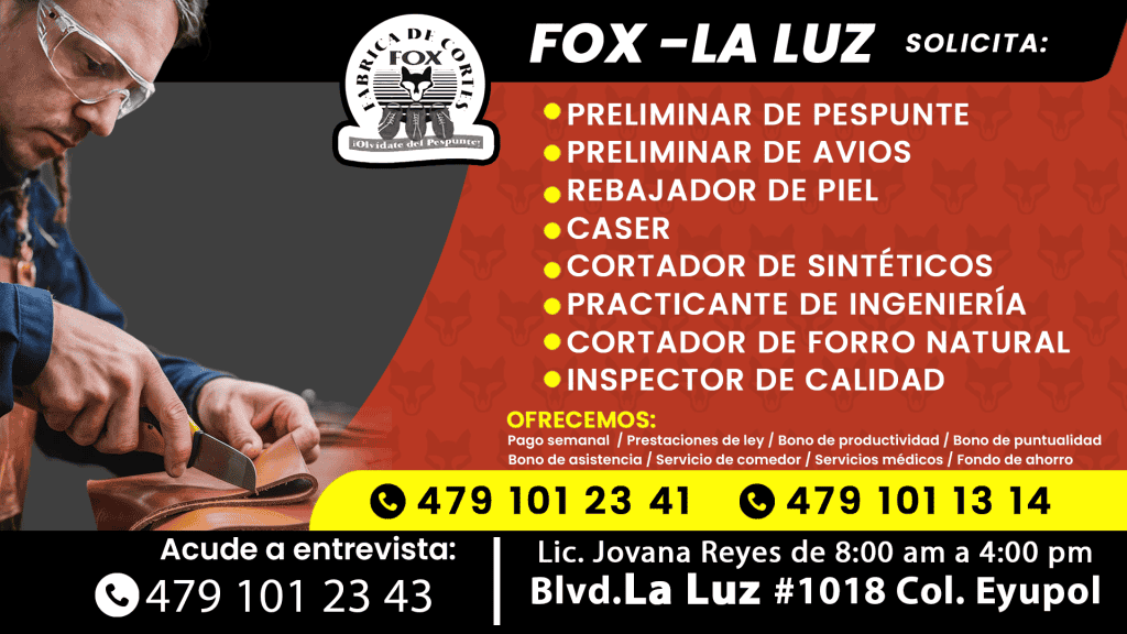 FOX (1)