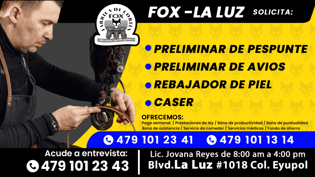 FOX luz