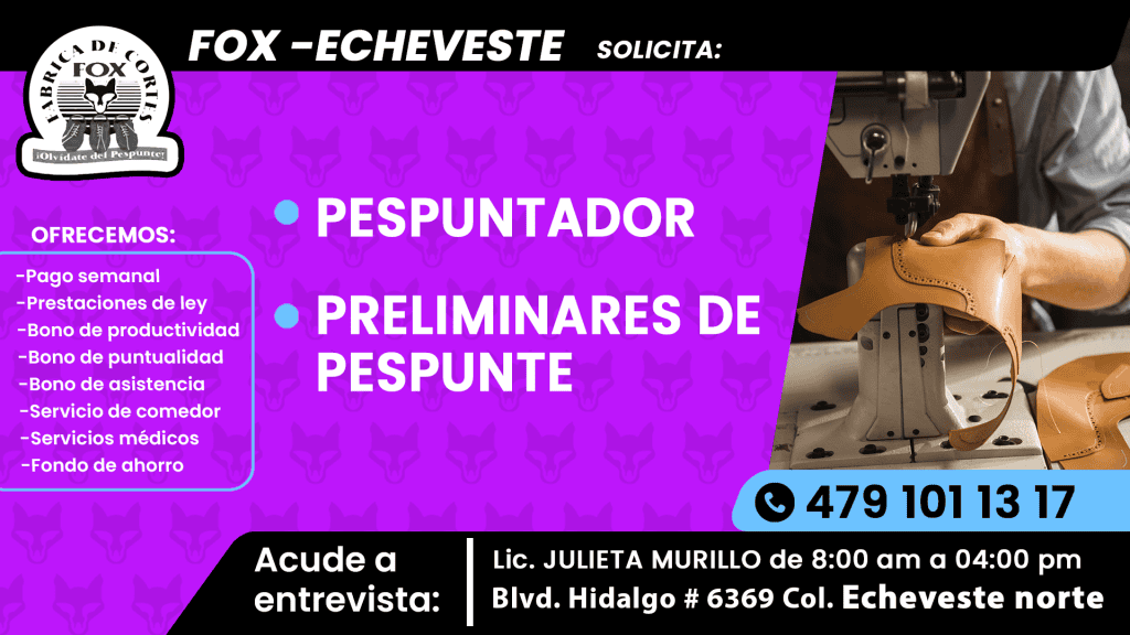 fox 01