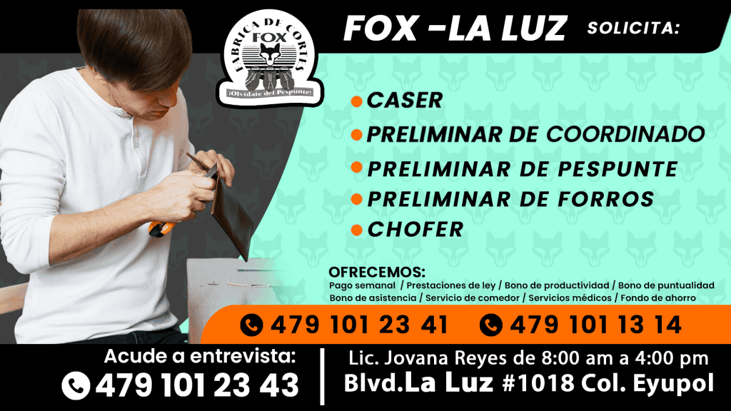fox 02