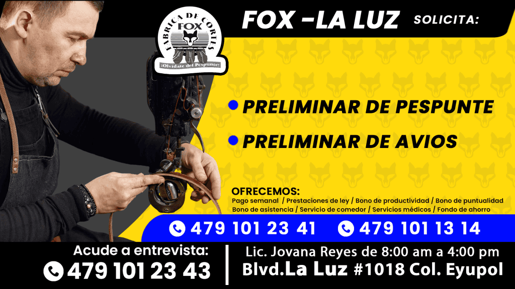 fox 03
