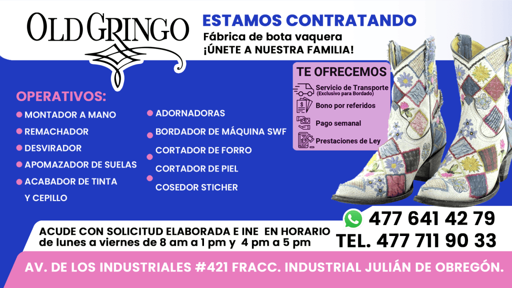 old gingo 01