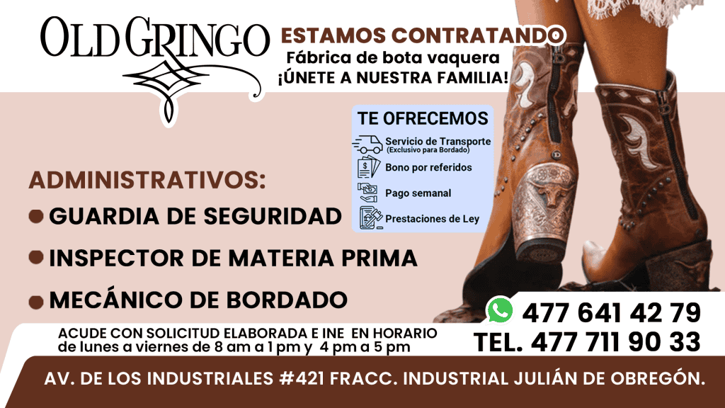 old gingo 01