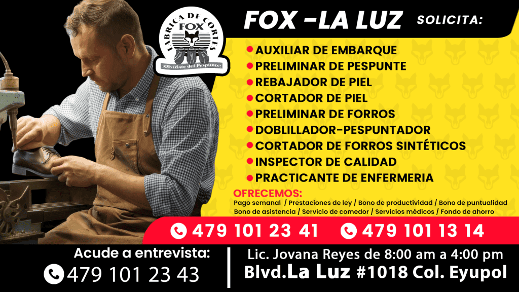 FOX la luz (6)