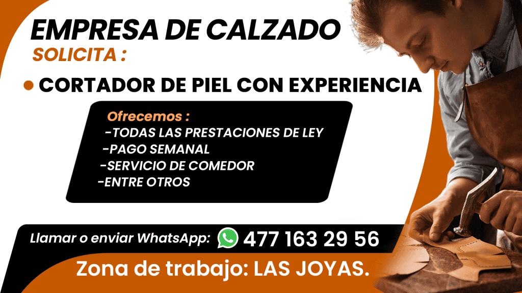 empresa_calzado (1)