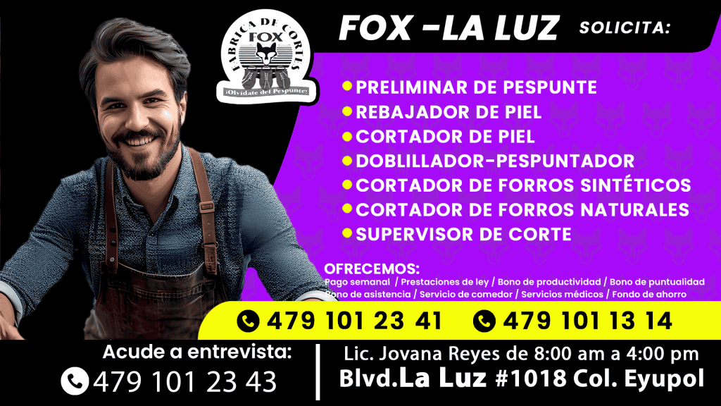 fox 02