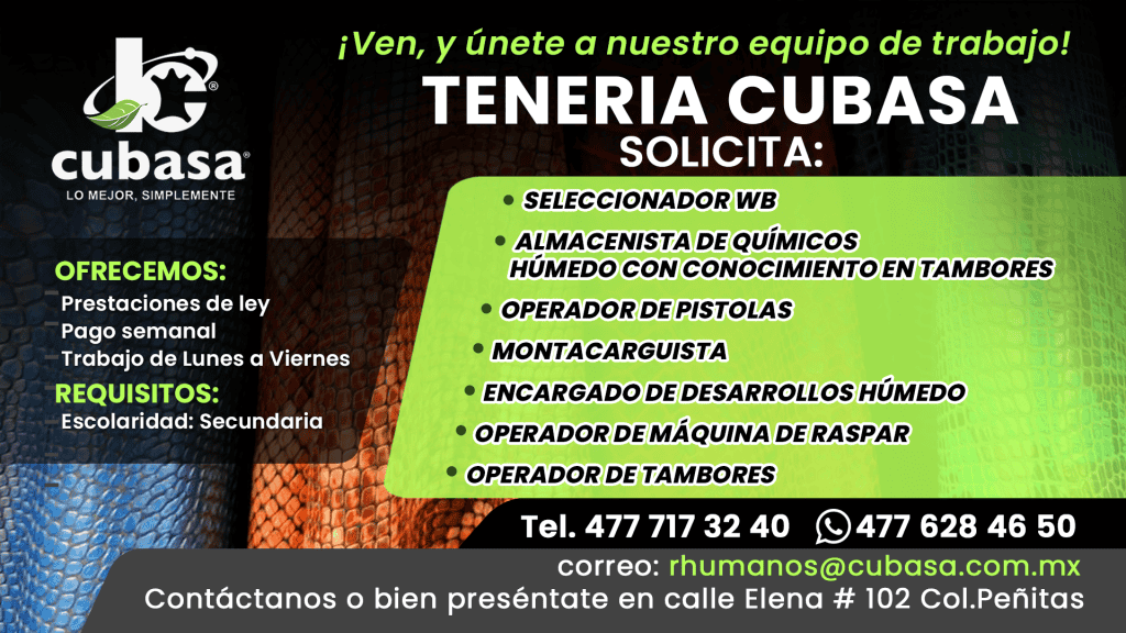 Cubasa (8)