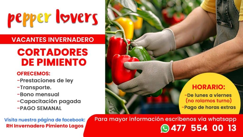 WhatsApp Image 2025-10-30 at 4.40.05 PM (1)