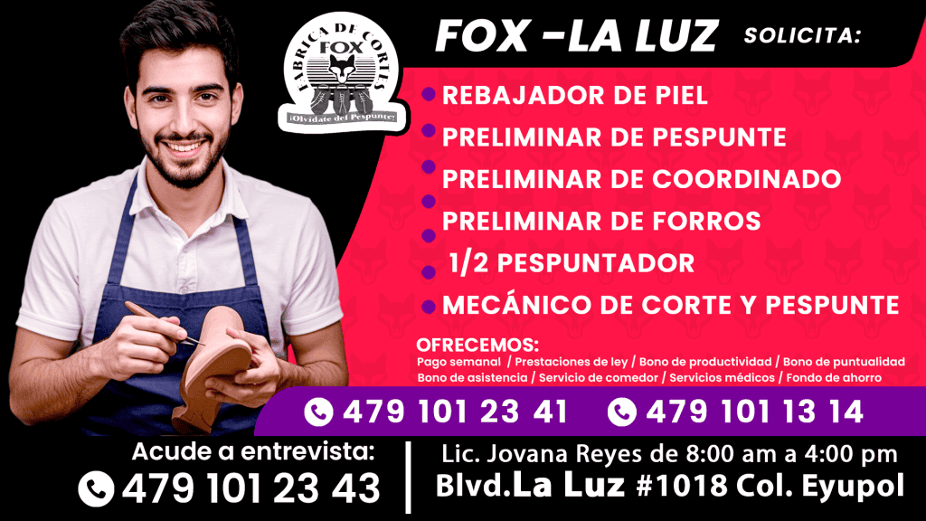 fox 02