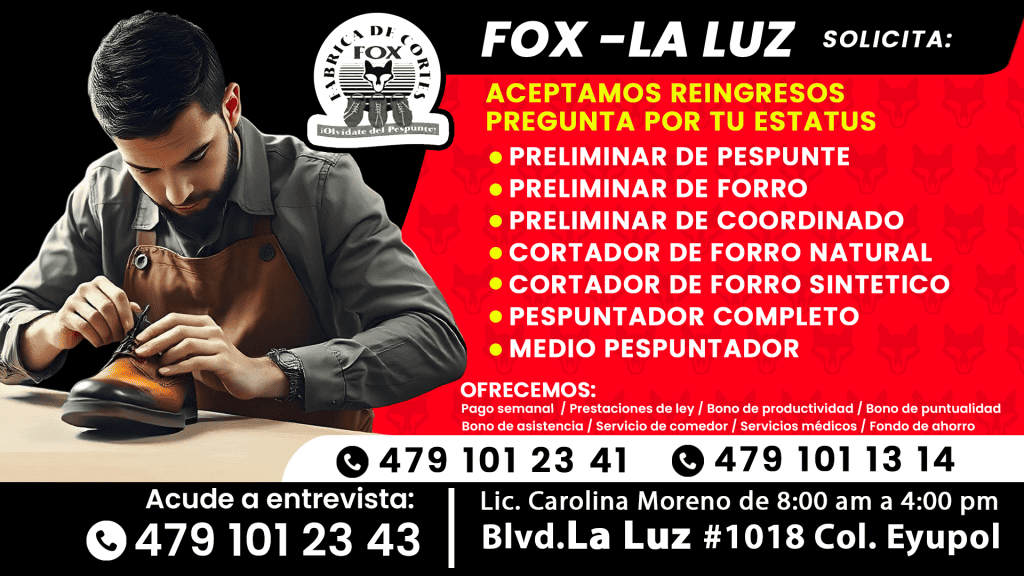 FOX la luz (31)