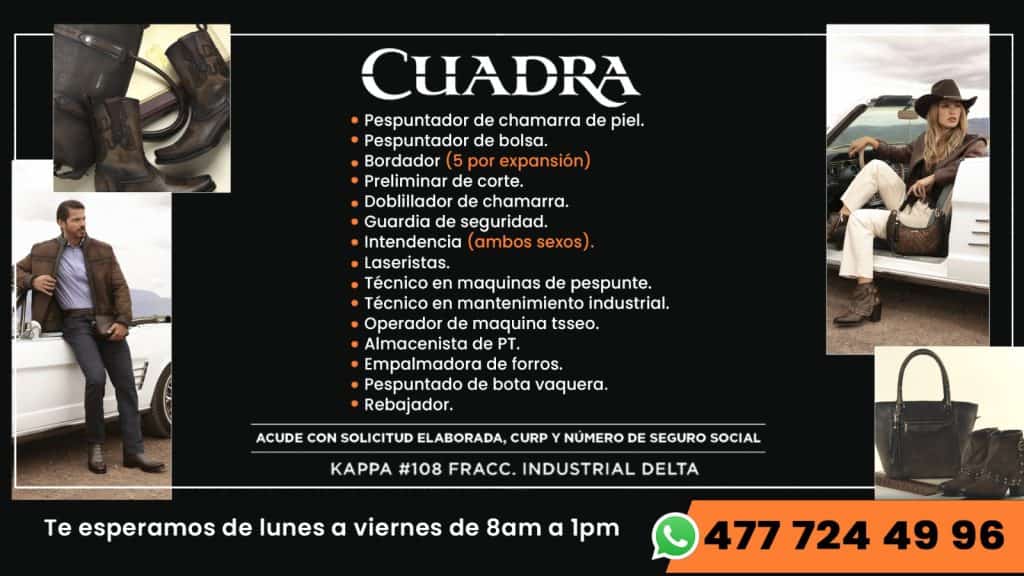 WhatsApp Image 2026-01-29 at 1.15.29 PM