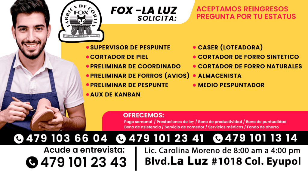 FOX la luz (1)