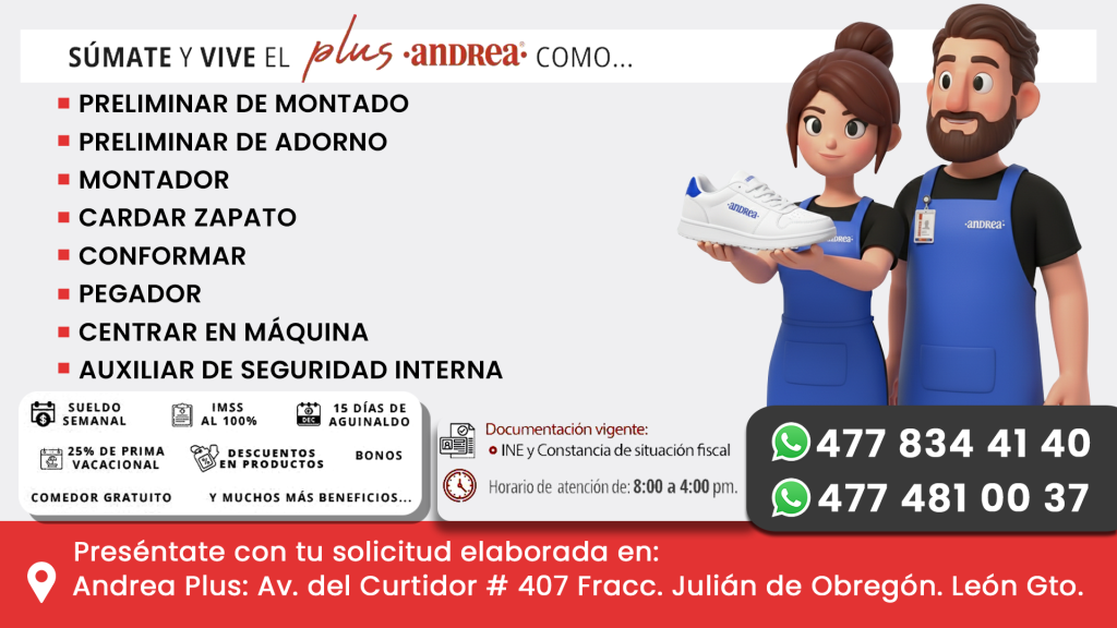 Preliminar de montado