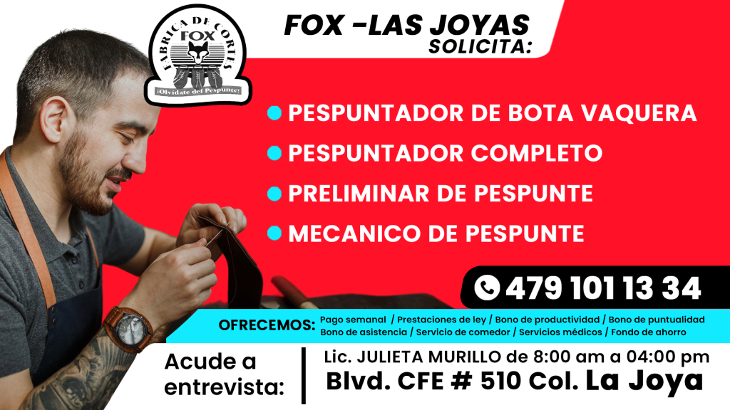 FOX 03