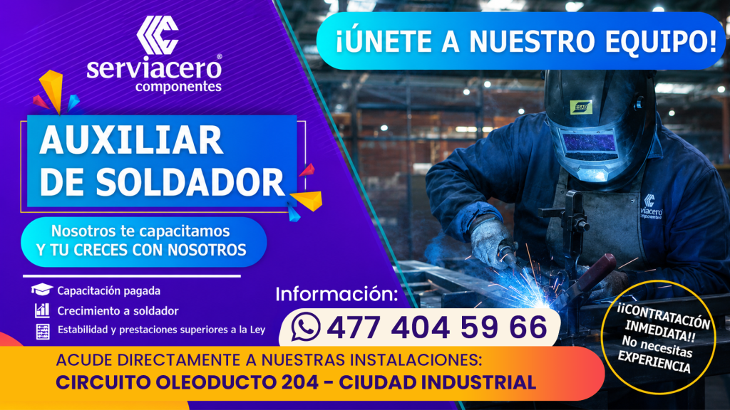 Serviacero Componentes (1)