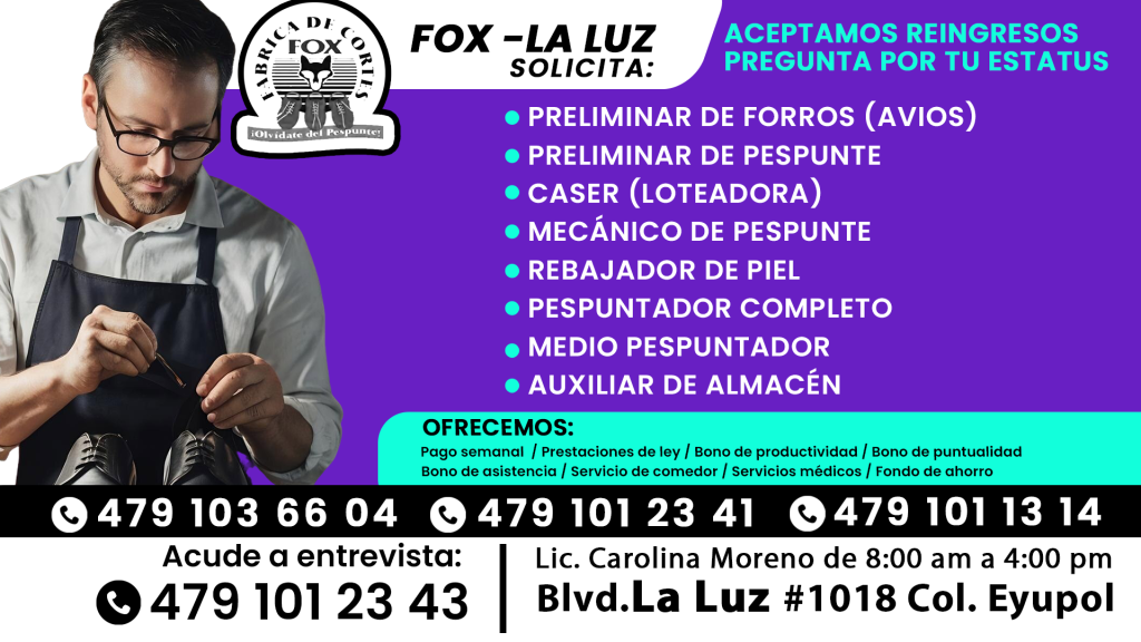 fox 01