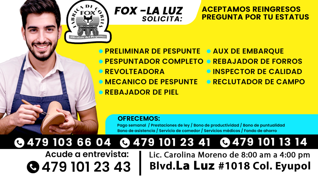 fox 01