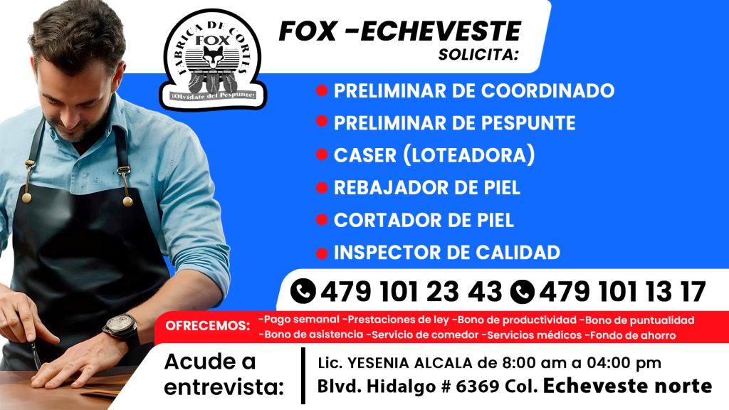 fox 02