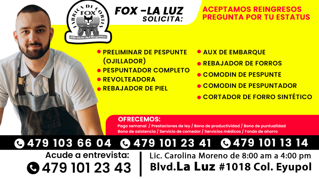 fox 01