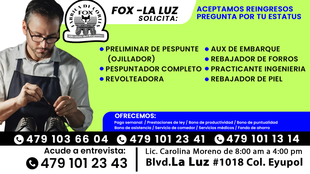fox 01