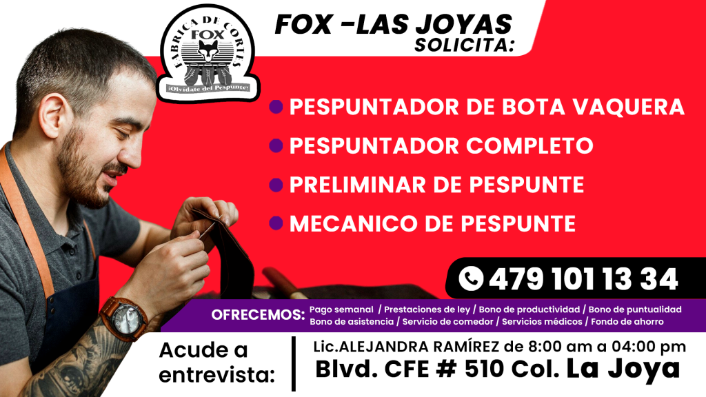 fox 02