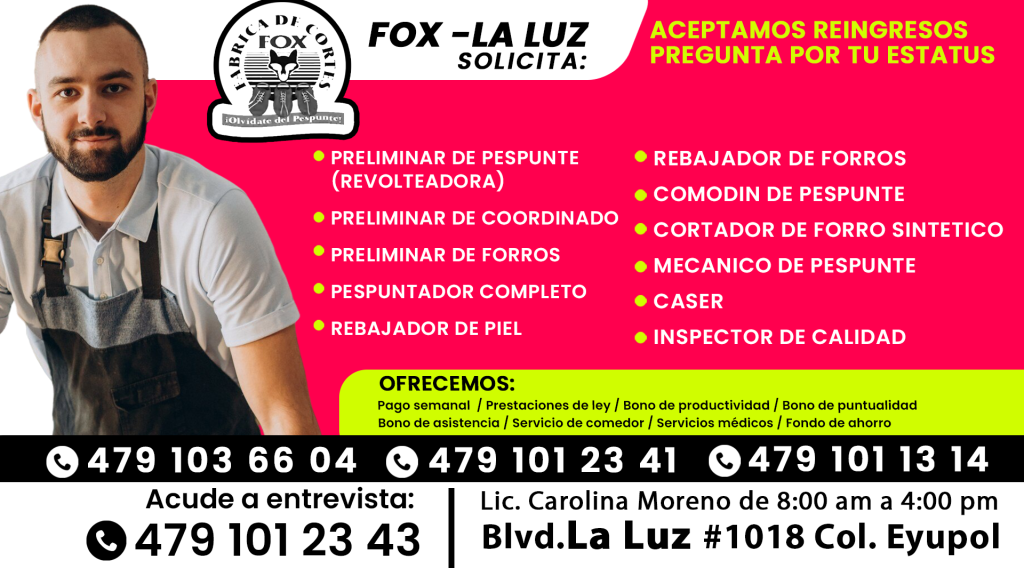 FOX 01
