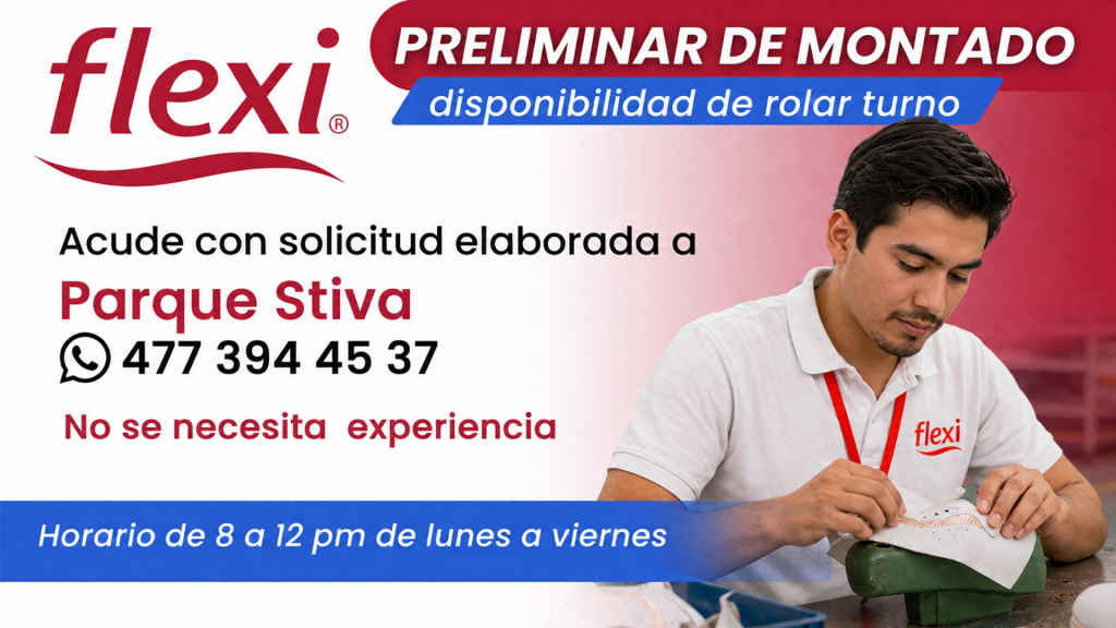Flexi 03