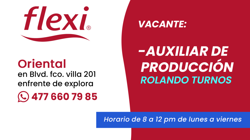 Flexi 06