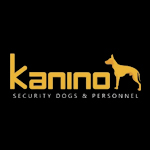 Kanino Kanino