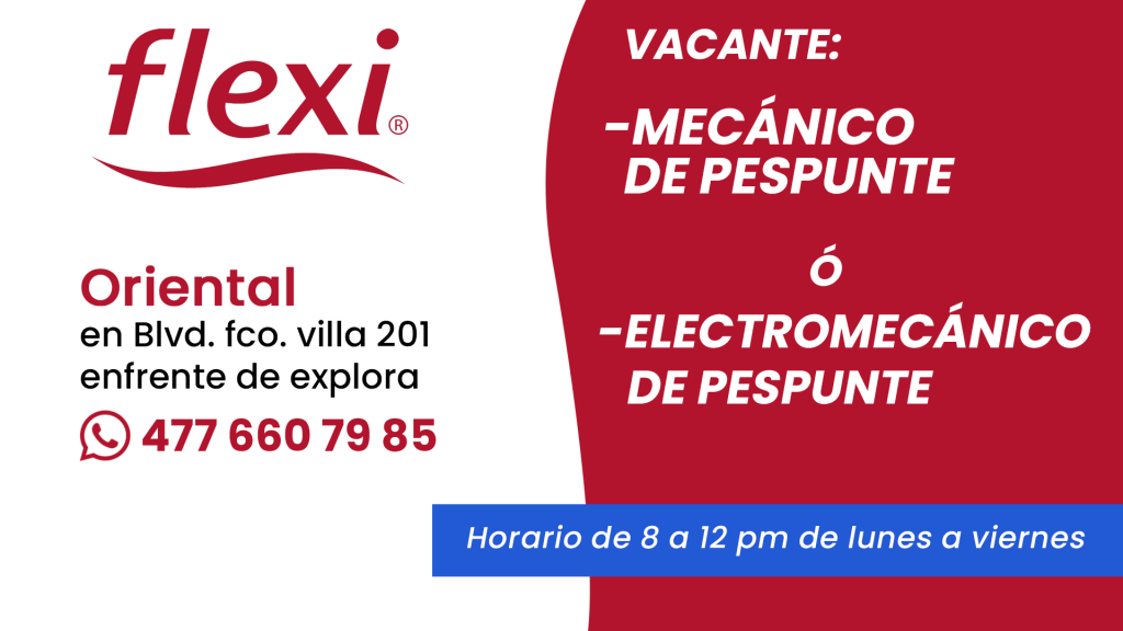flexi 04