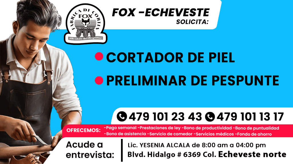 fox 02