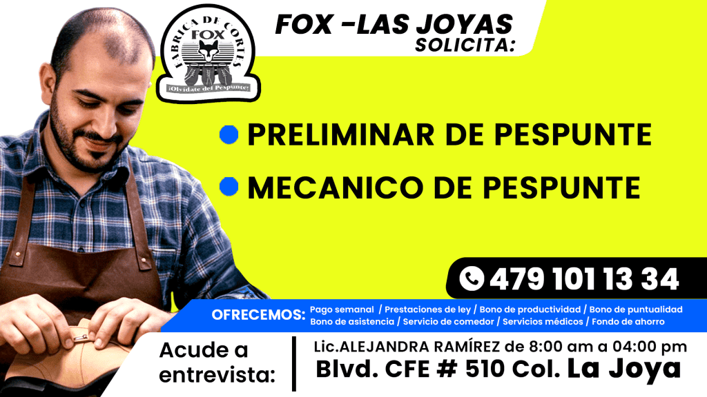 fox 03