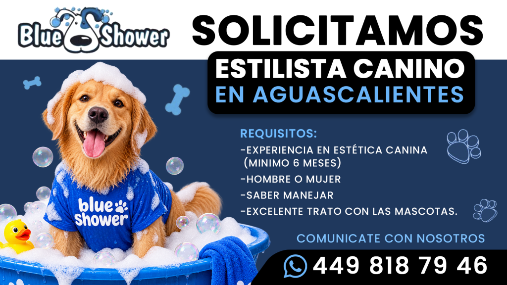 Blue Shower