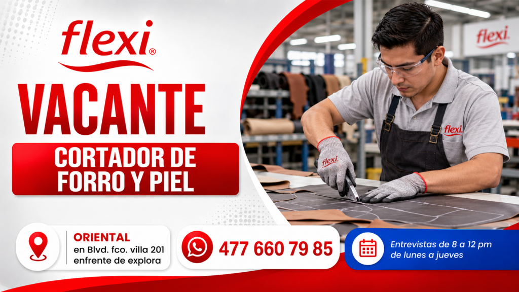 flexi 02